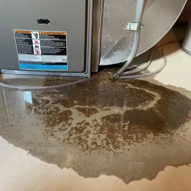 Appliance Leak Cleanup in Jamesburg, NJ